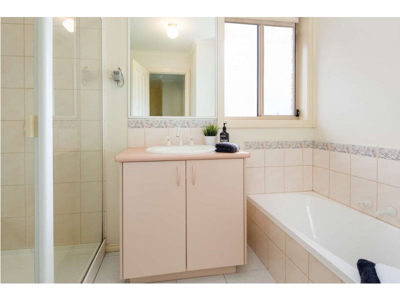 17 Springfield Road, Blackburn North VIC 3130