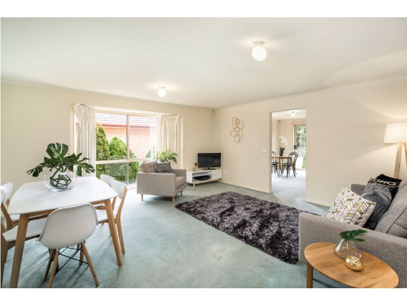 17 Springfield Road, Blackburn North VIC 3130