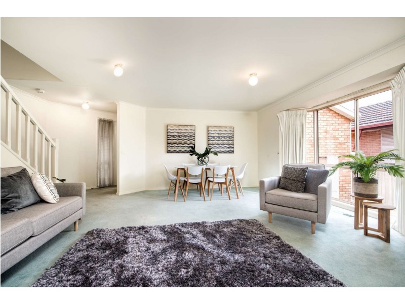 17 Springfield Road, Blackburn North VIC 3130