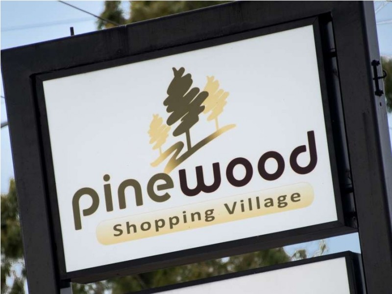 111 Lemont Avenue, Mount Waverley VIC 3149