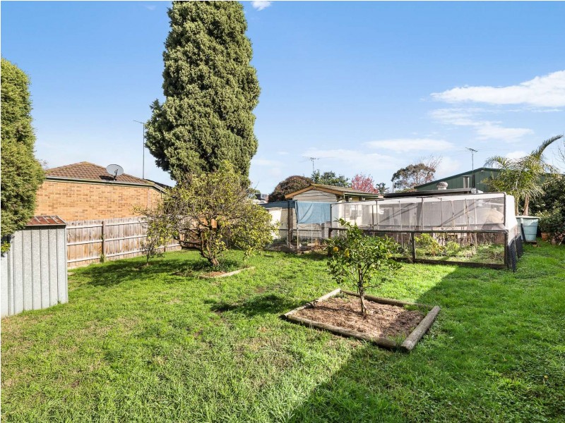 43 Beaver Street, Box Hill South VIC 3128