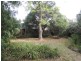 91 Kenmare Street, Mont Albert North VIC 3129