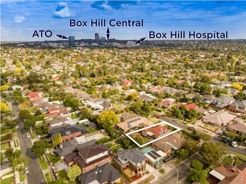 19 Maude Street, Box Hill North VIC 3129