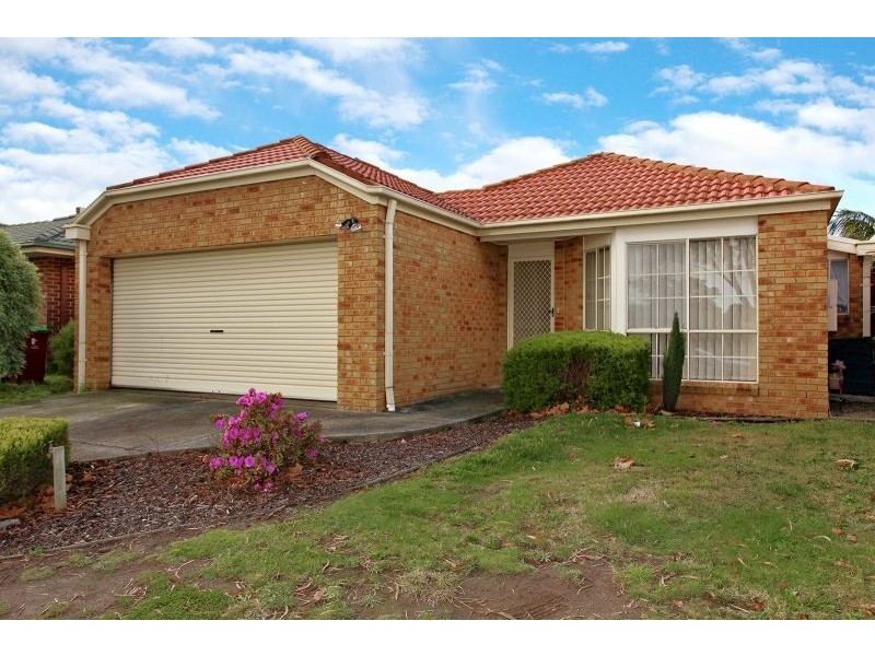 20 Jerilderie Drive, Berwick VIC 3806
