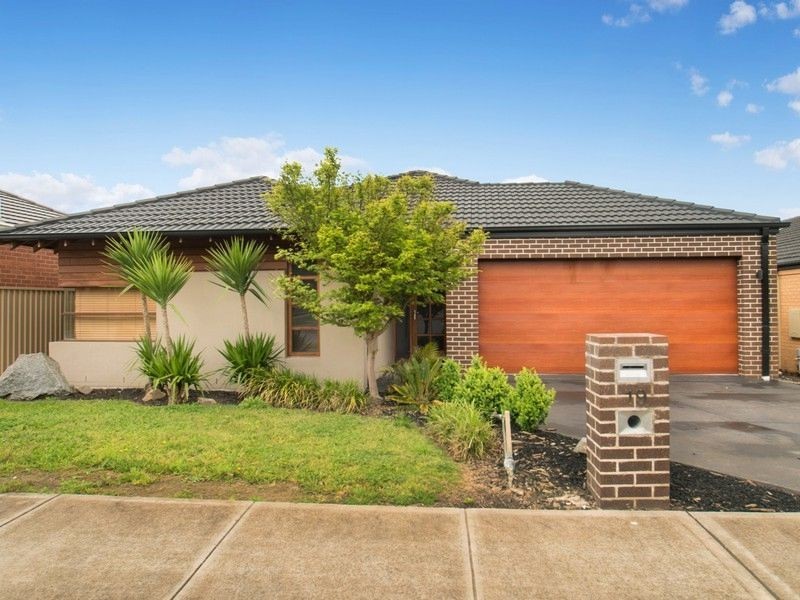 19 Montpelier Drive, Berwick VIC 3806