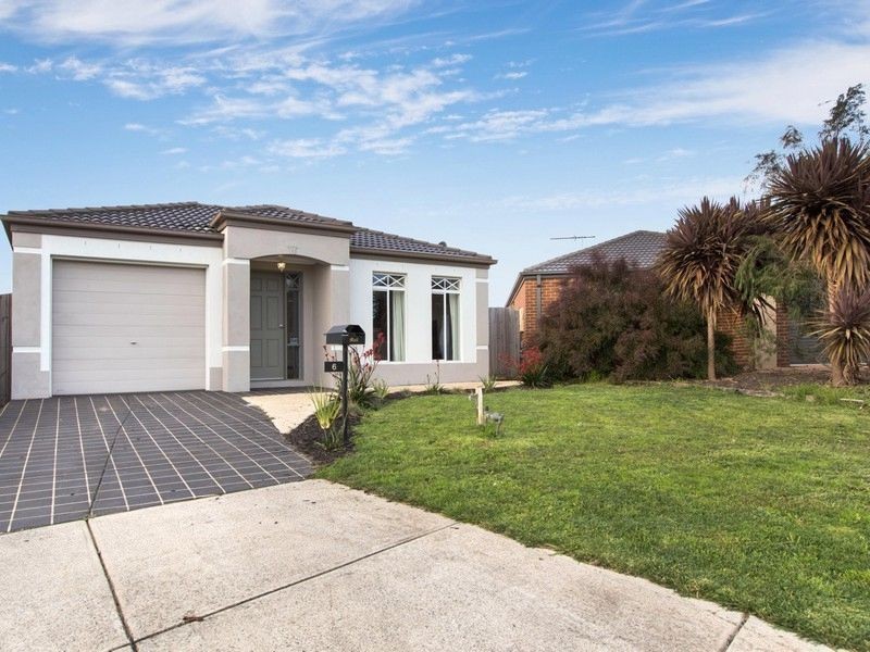6 Cindy Court, Berwick VIC 3806