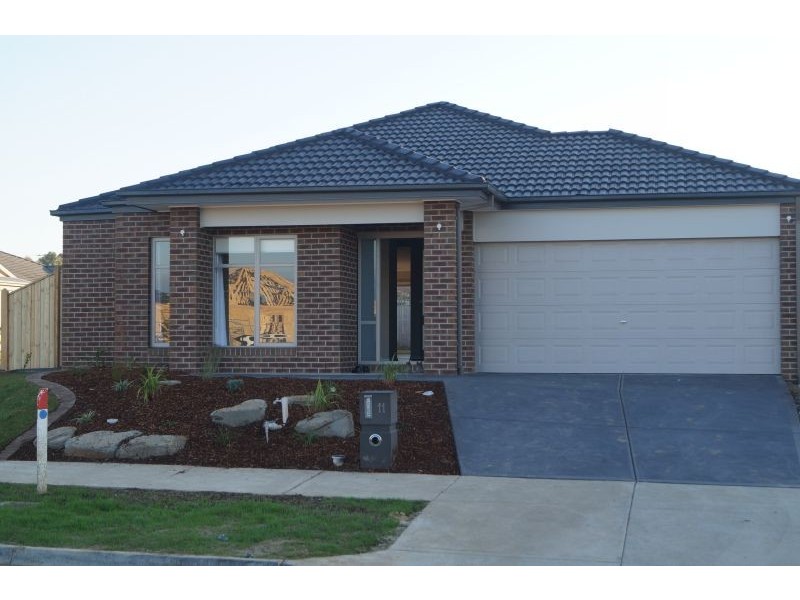 11 Macreadie Drive, Berwick VIC 3806