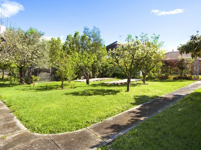 107 Through Road, Camberwell VIC 3124