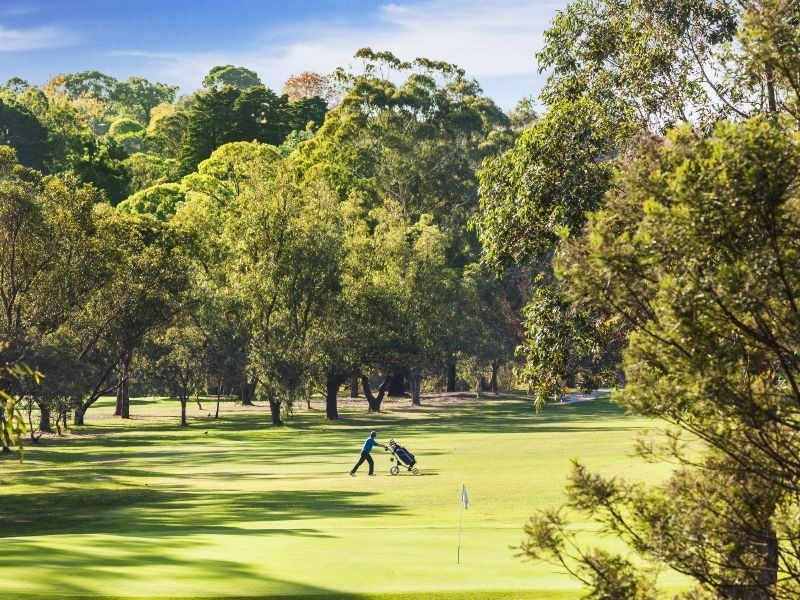 9 Acacia Place, Burwood VIC 3125