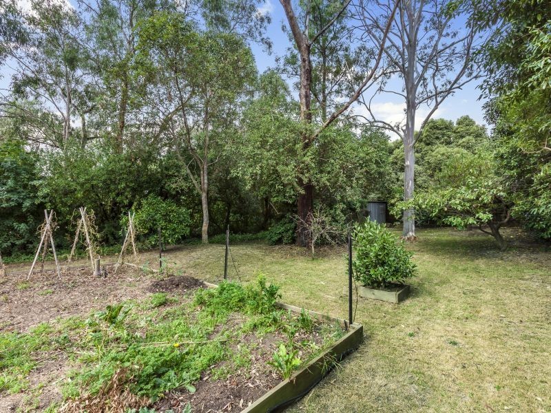 6 York Street, Glen Waverley VIC 3150