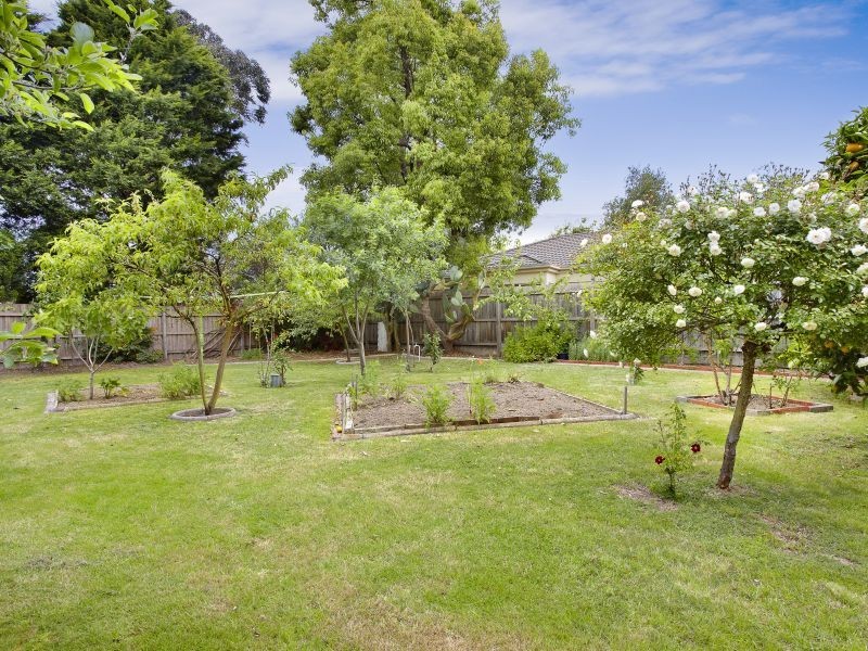 6 Nairn Street, Ashburton VIC 3147