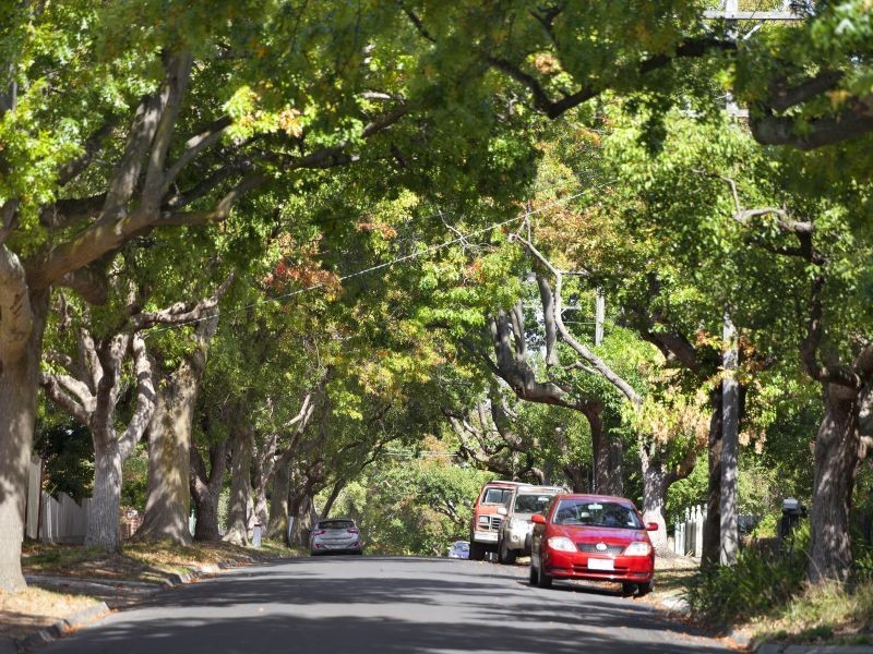 54 Fairview Avenue, Camberwell VIC 3124