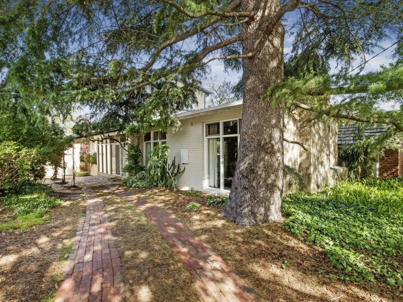 19 Montana Street, Glen Iris VIC 3146