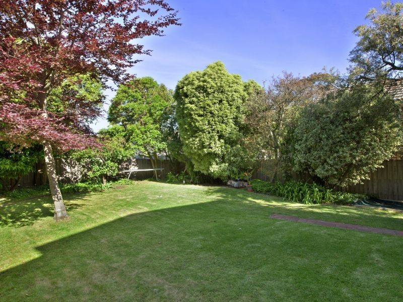 19 Montana Street, Glen Iris VIC 3146