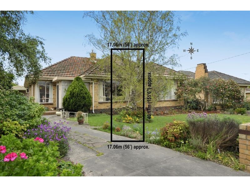 19 George Street, Ashwood VIC 3147