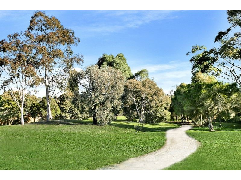 41 Ferndale Road, Glen Iris VIC 3146