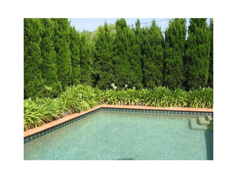 54 Wheatland Road, Malvern VIC 3144