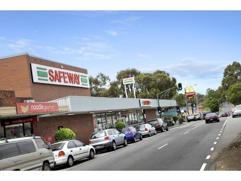 17 Hone Avenue, Blackburn South VIC 3130