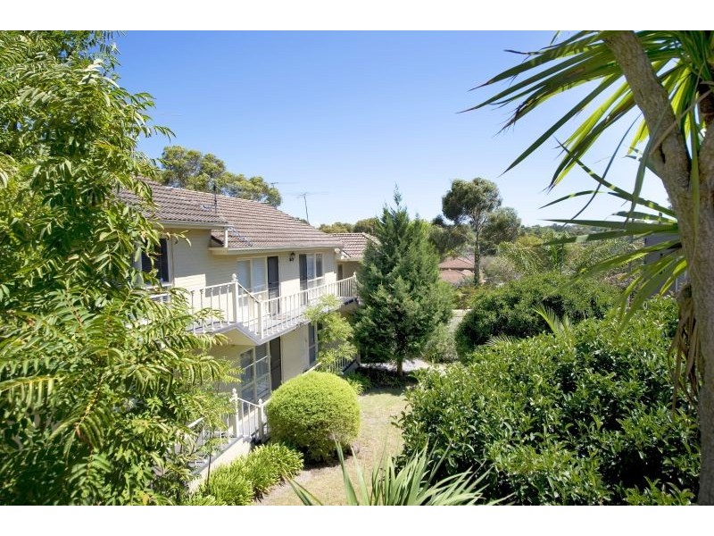 14/14 Osborne Avenue, Glen Iris VIC 3146