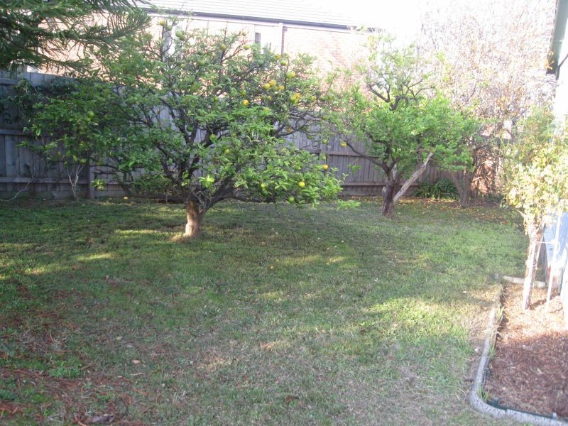 5 Gona Court, Ashburton VIC 3147