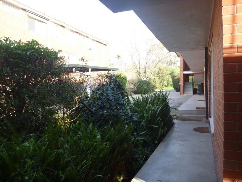 11/43 Carroll Crescent, Glen Iris VIC 3146