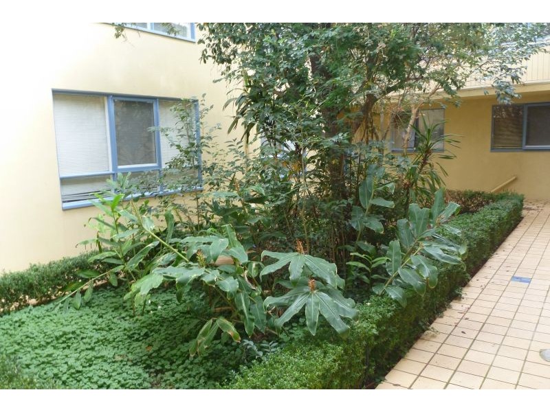 3/9 Wyuna Road, Caulfield North VIC 3161