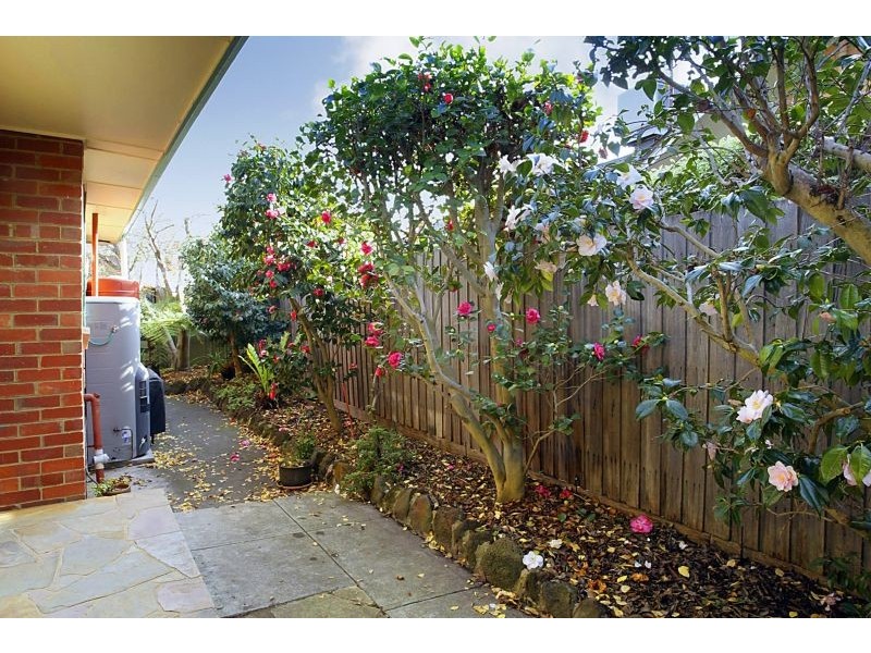 8 Sunhill Road, Glen Iris VIC 3146