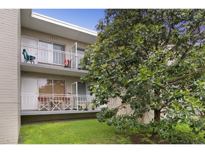 8/31 Osborne Avenue, Glen Iris VIC 3146