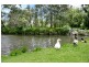 21 Peace Street, Glen Iris VIC 3146