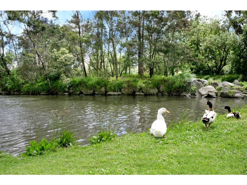 21 Peace Street, Glen Iris VIC 3146
