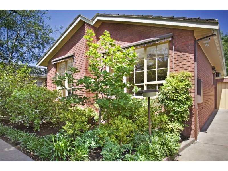 6/36-38 Osborne Avenue, Glen Iris VIC 3146