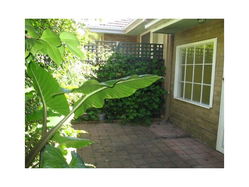 2/11 Allenby Road, Canterbury VIC 3126