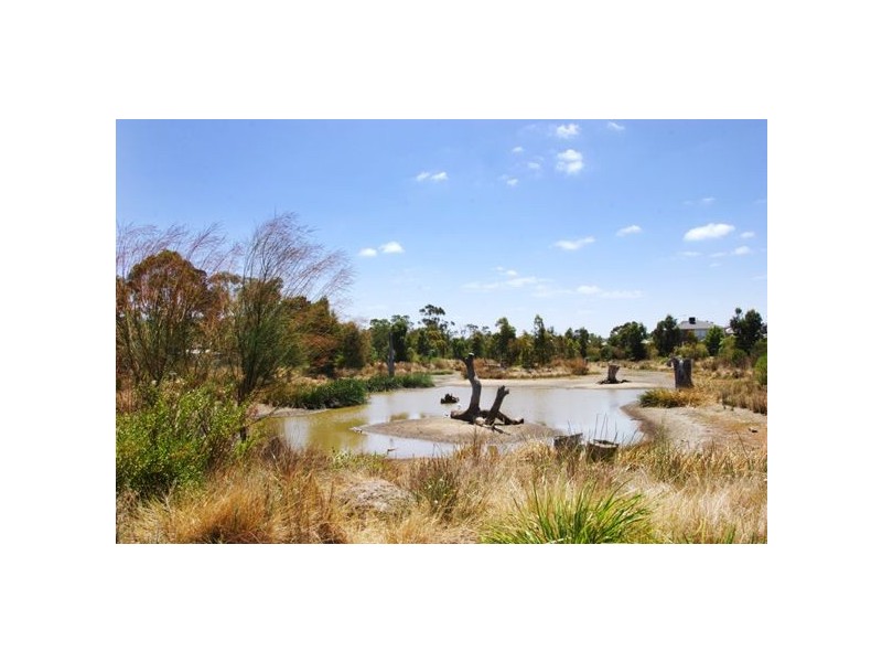 31 Highgate Grove, Ashburton VIC 3147