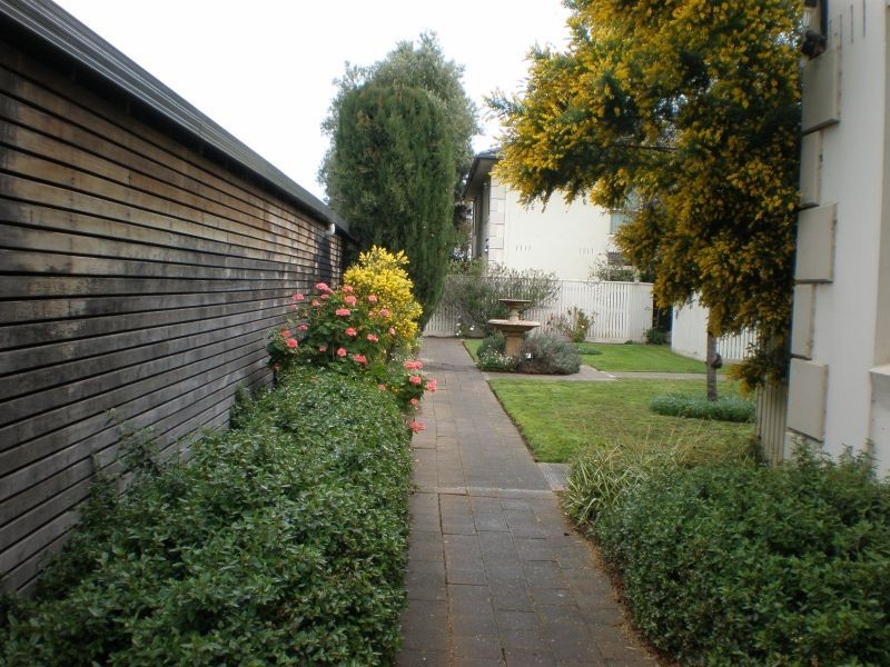 10/132 Milton Parade, Glen Iris VIC 3146