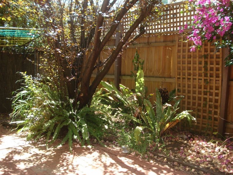 3/8 Summerhill Road, Glen Iris VIC 3146