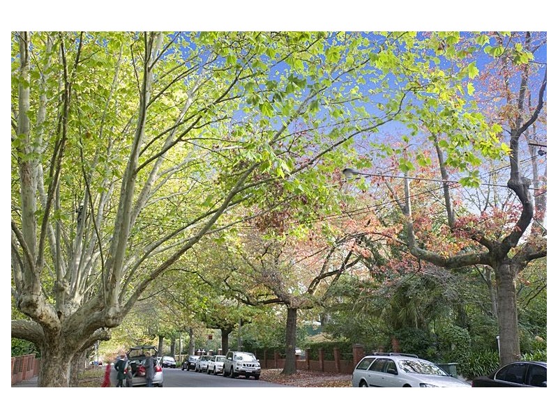 5 Cole Street, Hawthorn East VIC 3123