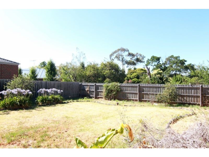 49 Dent St, Glen Iris VIC 3146