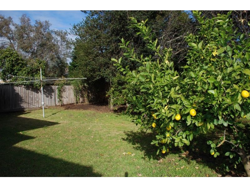76 Rowen Street, Glen Iris VIC 3146