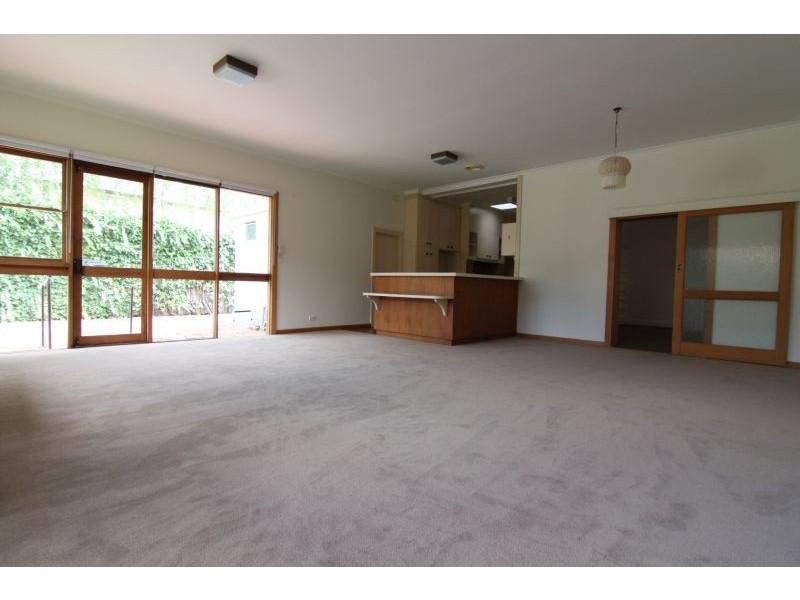 6 Young Street, Glen Iris VIC 3146