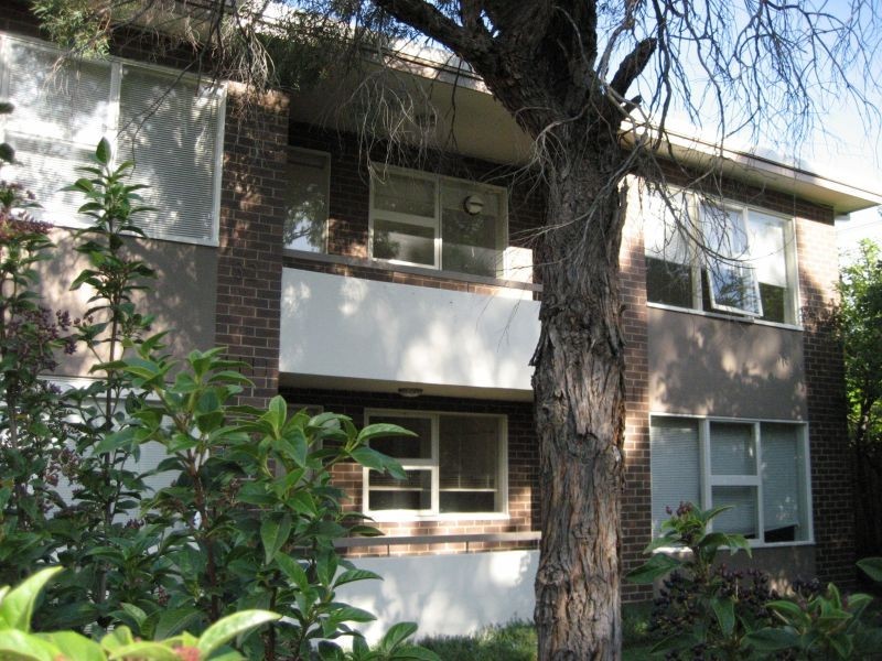 3/32 Maitland Street, Glen Iris VIC 3146