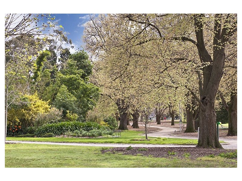 5C Belson Street, Malvern East VIC 3145