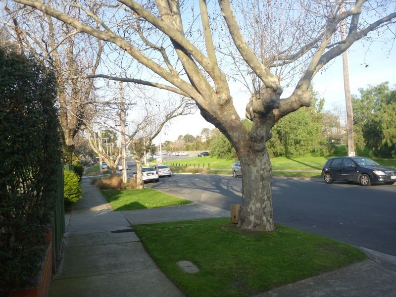 11/43 Carroll Crescent, Glen Iris VIC 3146