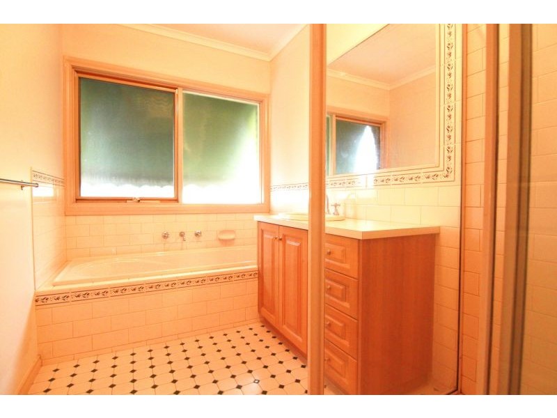 17A Pascoe Street, Glen Iris VIC 3146