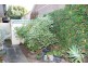 2/7 Halley Avenue, Camberwell VIC 3124