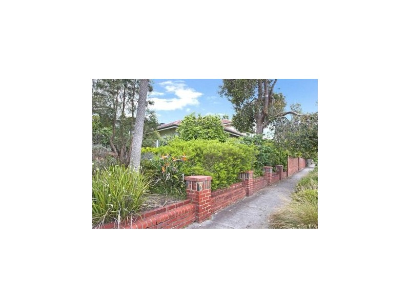 31 Kardinia Road, Glen Iris VIC 3146