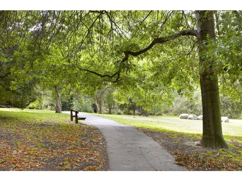 60 Essex Road, Surrey Hills VIC 3127