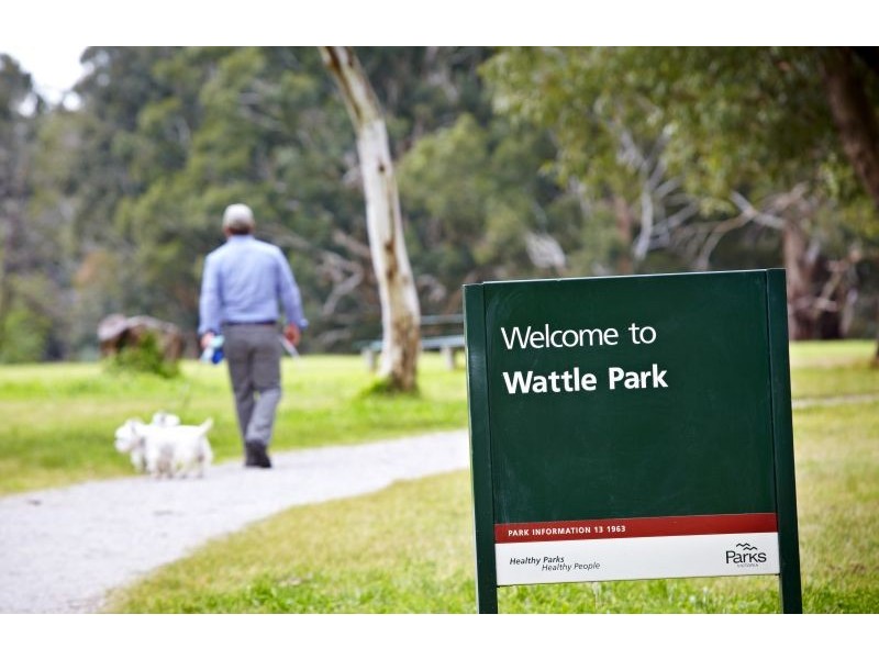 51 Parer Street, Burwood VIC 3125