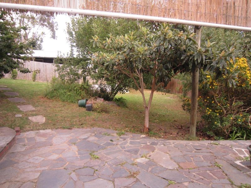 14 Fowler Street, Box Hill South VIC 3128