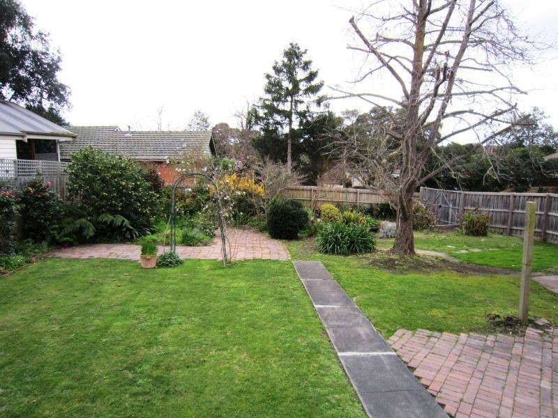 17 Winmalee Road, Balwyn VIC 3103