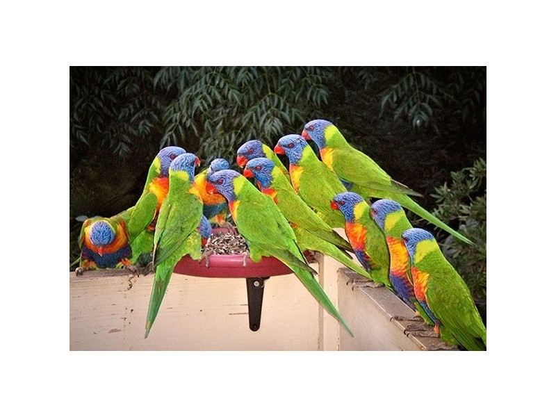 28 Ropley Avenue, Balwyn VIC 3103